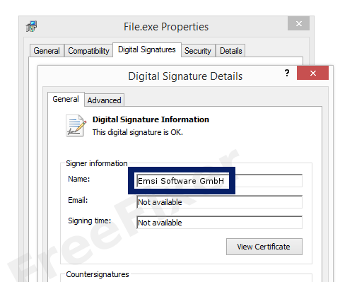 Screenshot of the Emsi Software GmbH certificate